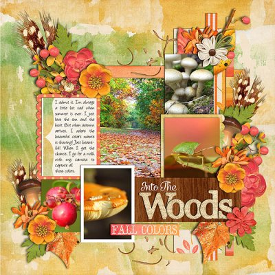 Into The Woods
