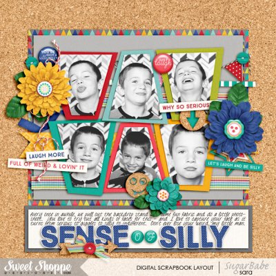 sense-of-sillywm