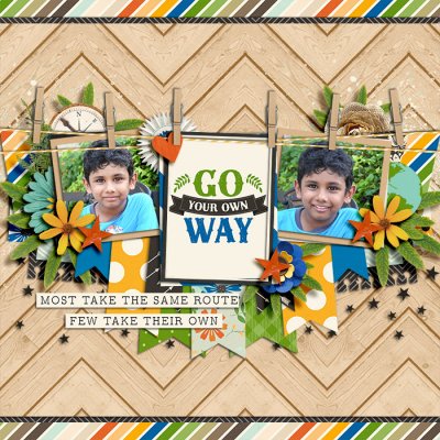 Go Your Own Way