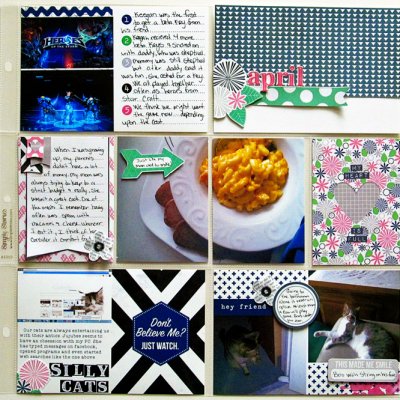 April 2015 Project Life
