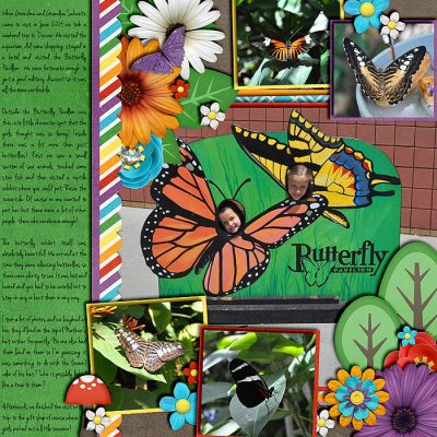 Butterfly Pavilion