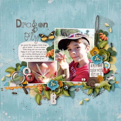 Dragon Fly