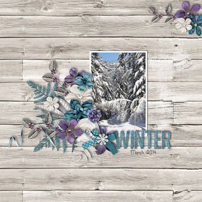 Winter - N18 Challenge