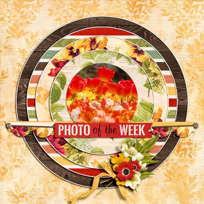 Photo Of The Week