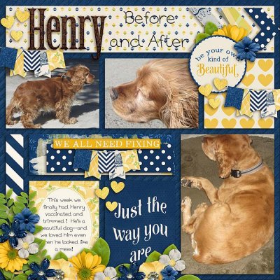 Henry Before and After!