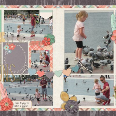 pigeons