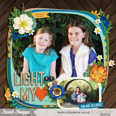 Light of my heart