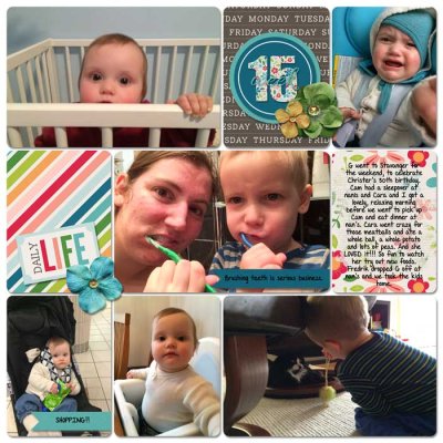 Week 15