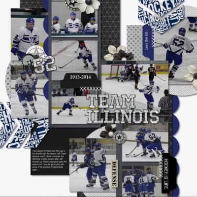 Team Illinois 2013-2015