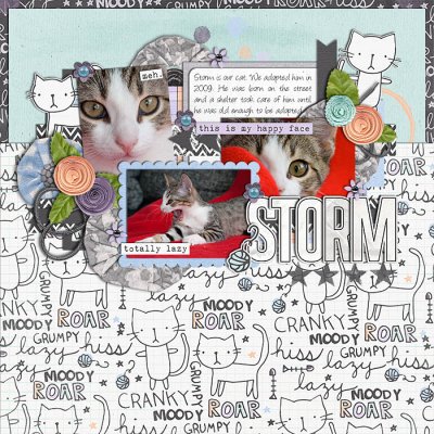 Storm