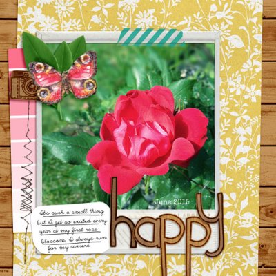 Happy - First Blossom -