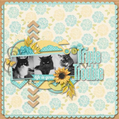 Bingo June4: 'Furry Friends'