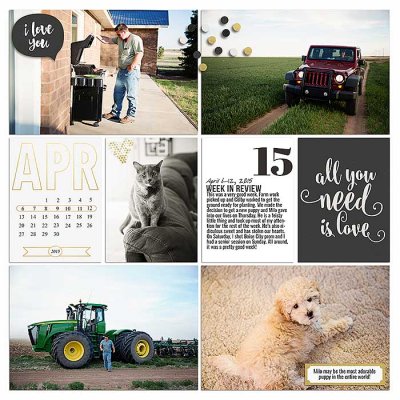 Project 2015- Week 15 (right)