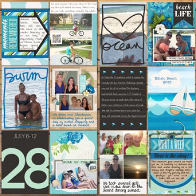 Project Life Week 28