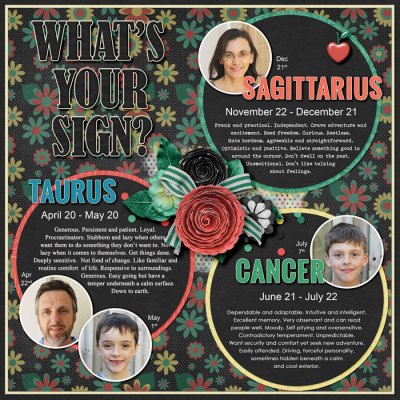 What's your Sign?