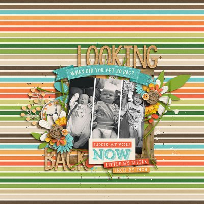 Looking Back