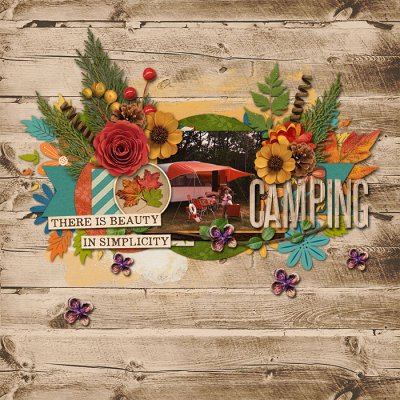 Camping