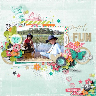 Perfect Fun