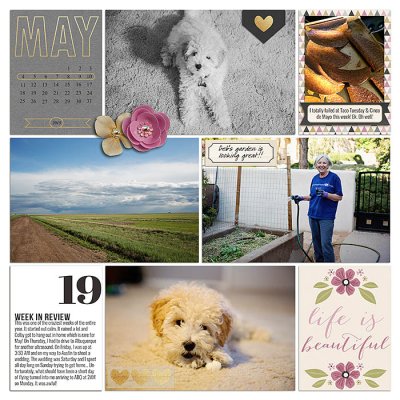 Project 2015- Week 19 (left)