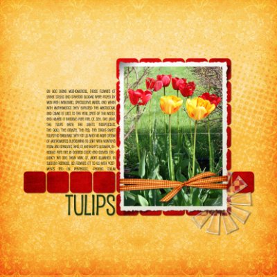 Tulips