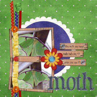 Moth