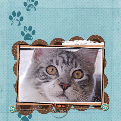 Stinkin' CUTE!
