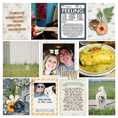 Project 2015- Week 21 (right)