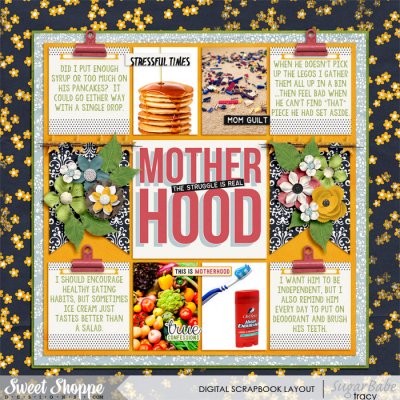 Motherhood Struggle