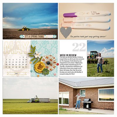 Project 2015- Week 22 (left)