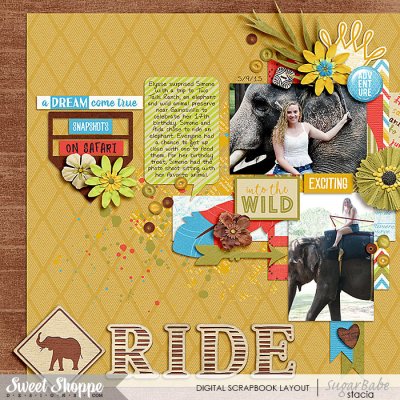 Elephant Ride