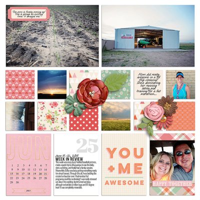Project 2015- Week 25 (left)
