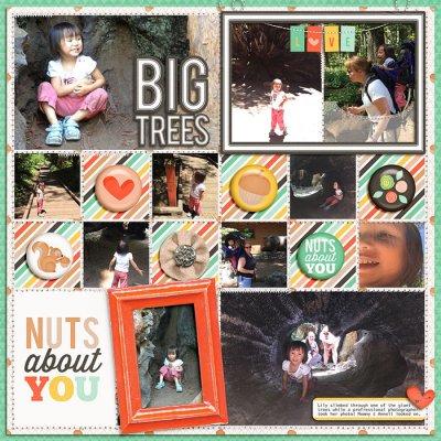 Big Trees: Nuts About You