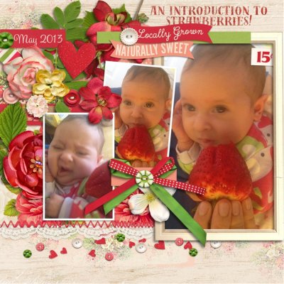 Intro to Strawberries