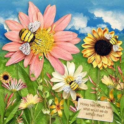 Bingo Sept 2015 - Bee