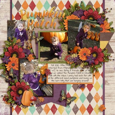 Pumpkin Patch