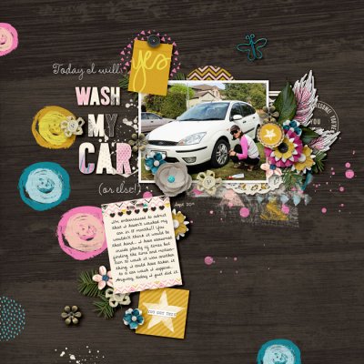 Wash My Car
