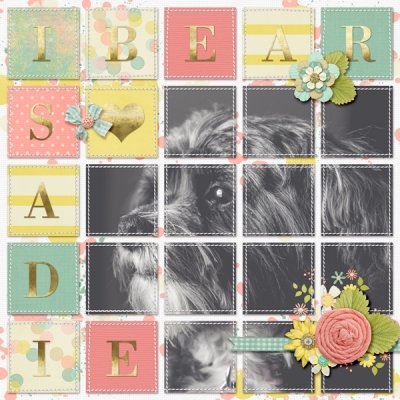 Sadie Bear