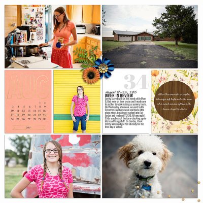 Project 2015: Week 34 (left)