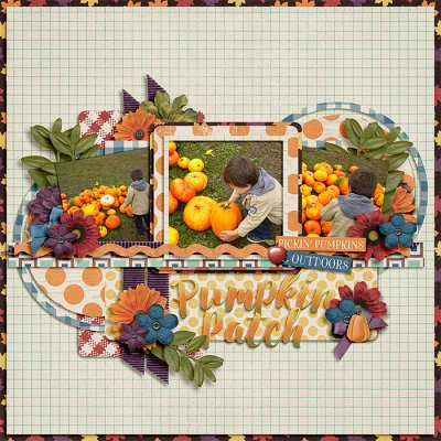 Pumpkin Patch