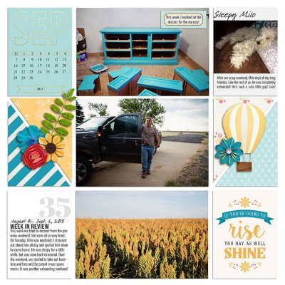 Project 2015: Week 36 (left)