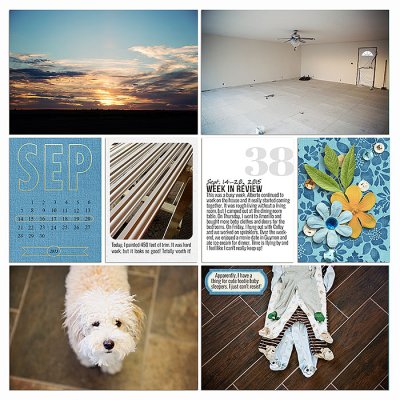 Project 2015: Week 38 (left)
