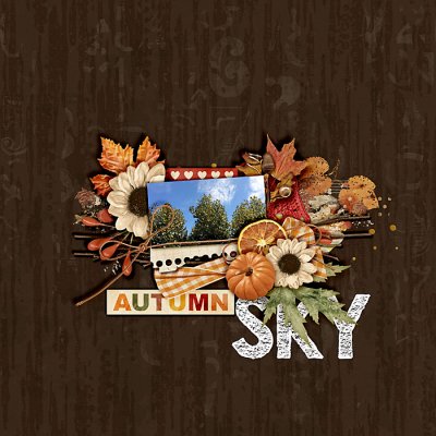 autumn sky