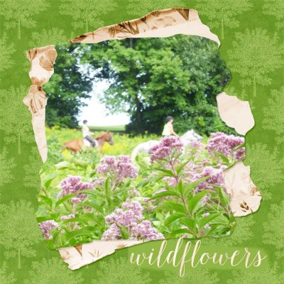 Wildflowers