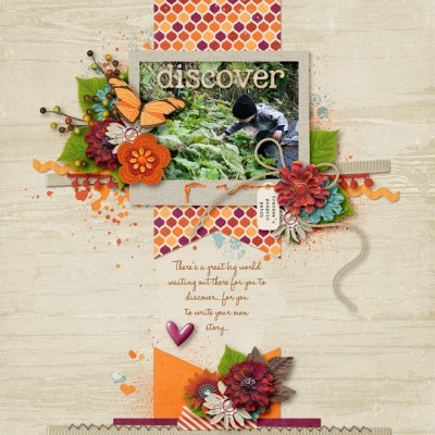Discover