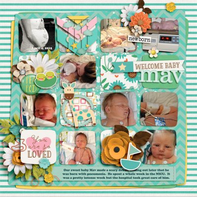 Welcome Baby Mav