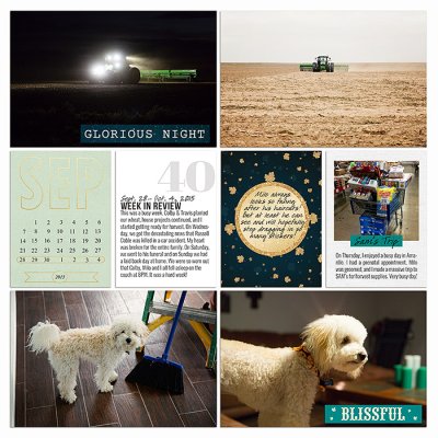 Project 2015: Week 40