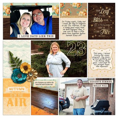 Project 2015: Week 40