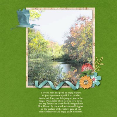 Our Pond