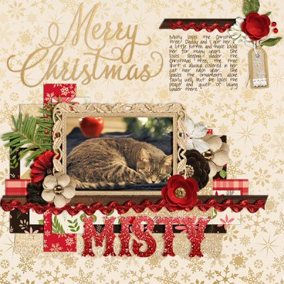 wc_christmas_misty2011sm