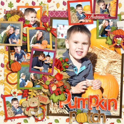 Pumpkin Patch